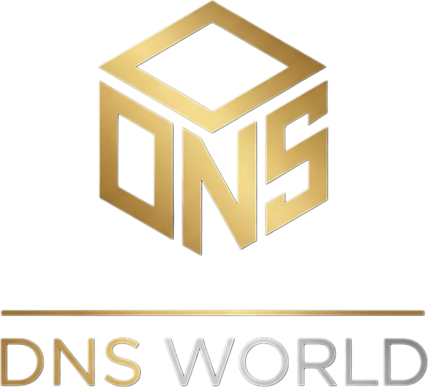 DNS World Logo